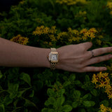 Sara® Calista – Elegantne kleit